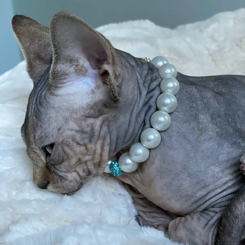 Magnetic clasp cat necklace/dog necklace